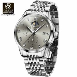Original Olevs Luxury 2925 Model Chronograph Active Watch for Men