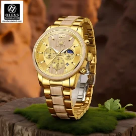 olevs bangladesh watch